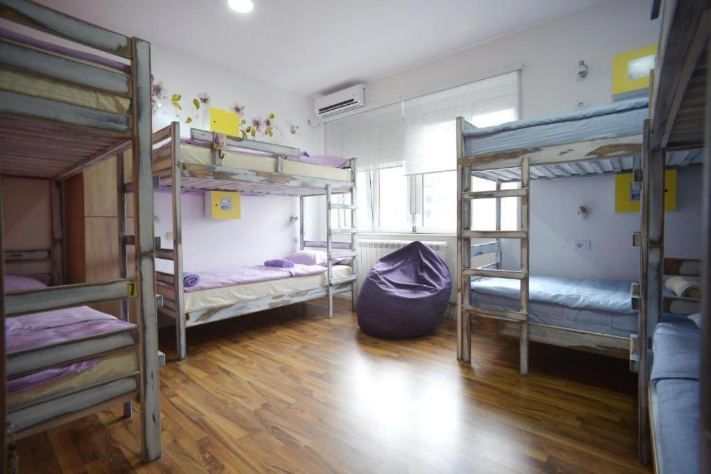 Stella Di Notte Hostel Beograd Ngoại thất bức ảnh